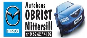 Obrist Autohaus GmbH & CO KG